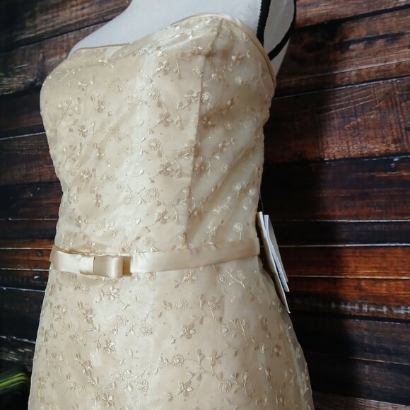 NWT Jessica McClintock Vintage Dress 14 Strapless Maxi Chiffon Peach Formal - Picture 4 of 13